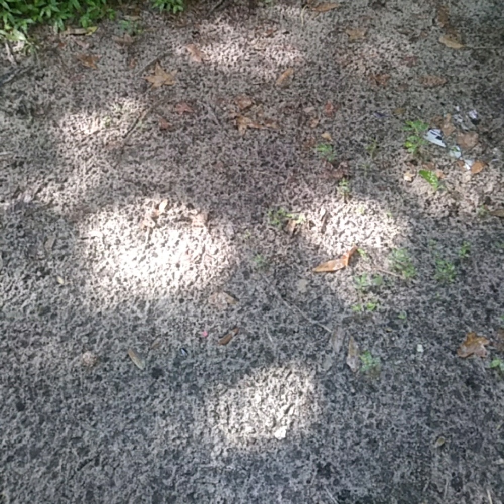 Meet your Posher, Julien